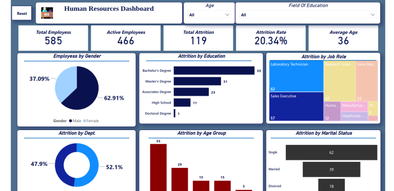 HR Insights Dashboard